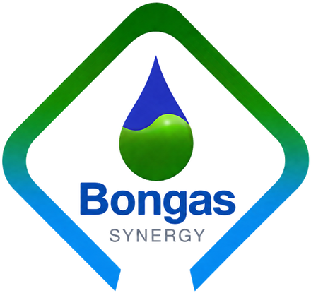 Bongas Synergy